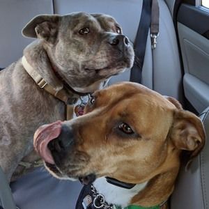 Meet your Posher, Kile